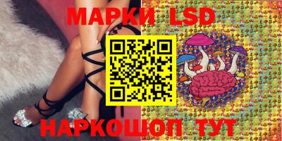 гидропоника Новокубанск