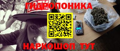 МДПВ Новодвинск