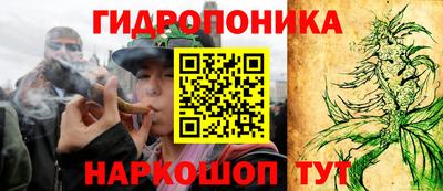 гидропоника Новокубанск