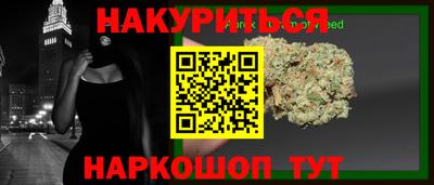 МДПВ Новодвинск