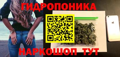МДПВ Новодвинск
