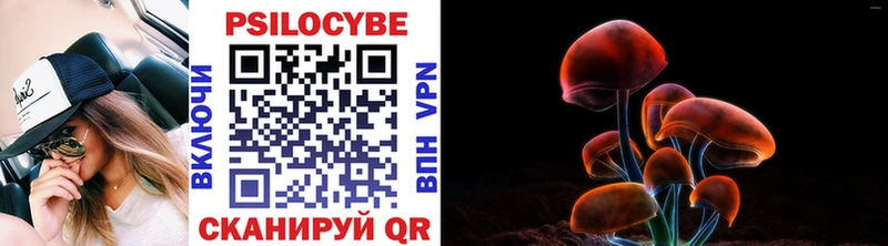 блэк спрут ONION  Дальнереченск  Псилоцибиновые грибы GOLDEN TEACHER  как найти наркотики 