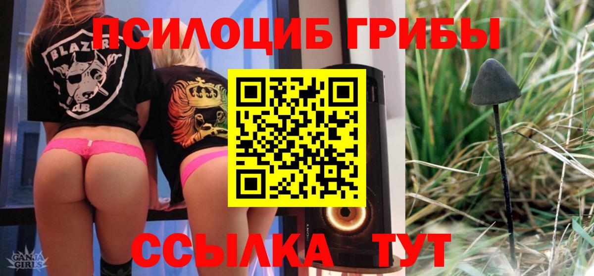 Дальнереченск  Псилоцибиновые грибы GOLDEN TEACHER  Псилоцибиновые грибы MAGIC MUSHROOMS  Вход с VPN 